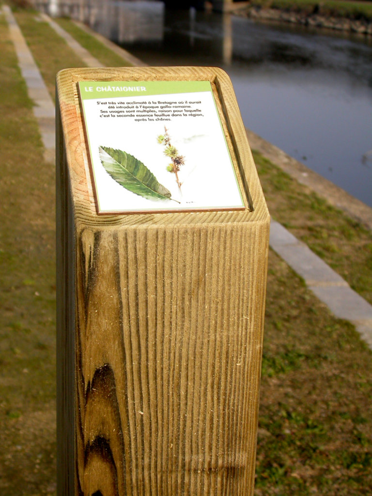 Signalétique Touristique Borne Bois